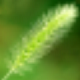 Txtvoice1.0